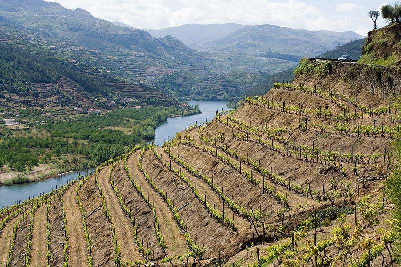 Douro Valley by Bike