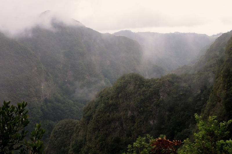 Madeira Great Walks